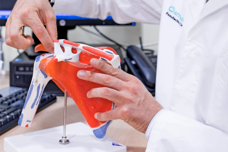 Manos de un especialista en traumatología explicando la anatomía del hombro con un modelo anatómico, destacando tendones y estructuras óseas durante una consulta clínica especializada.