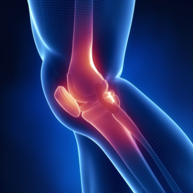 Funciones ligamentos de la rodilla