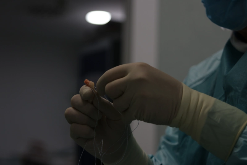 Preparación del menisco para su trasplante, en este momento se están haciendo las suturas sobre la mesa de trabajo estéril